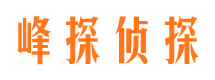 秦淮市私家侦探